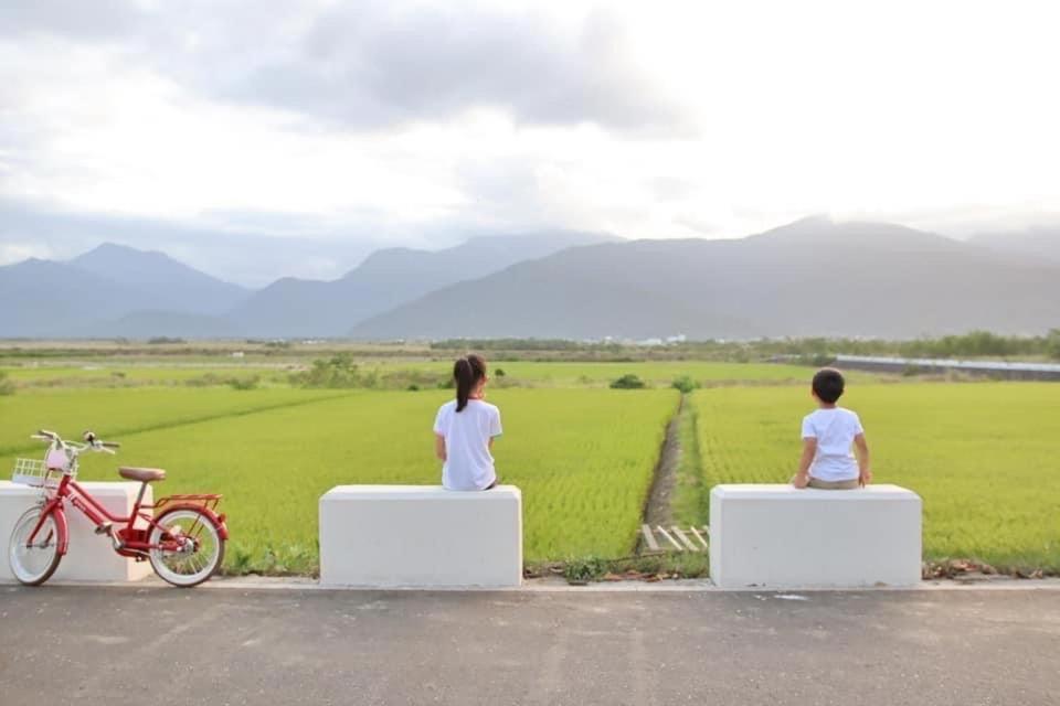 Pu Shi Homestay Yuli Exterior foto