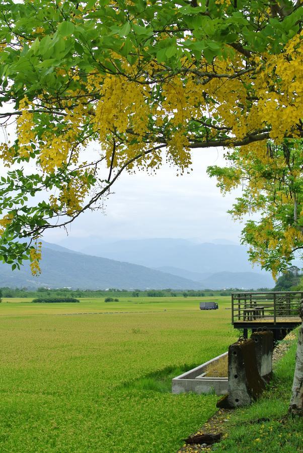 Pu Shi Homestay Yuli Exterior foto